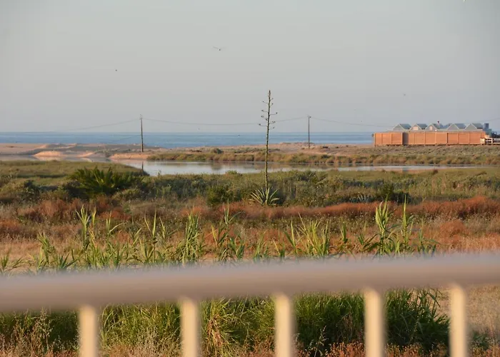 Dria * Armação de Pêra